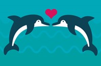 2 Dolphins and a heart
